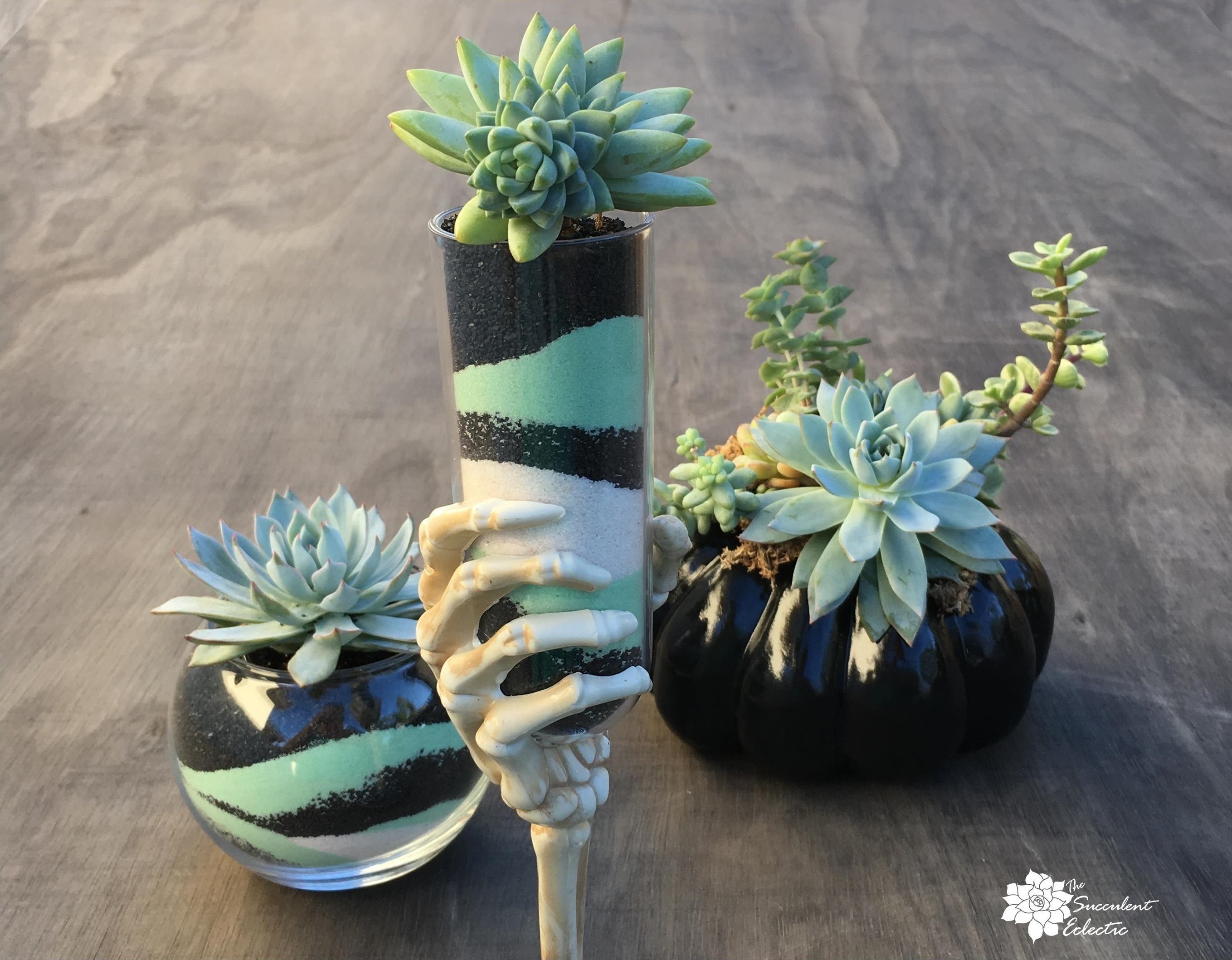 You are currently viewing Succulent Sand Art – Skeletal Hand Chalice and Spooky Succulents