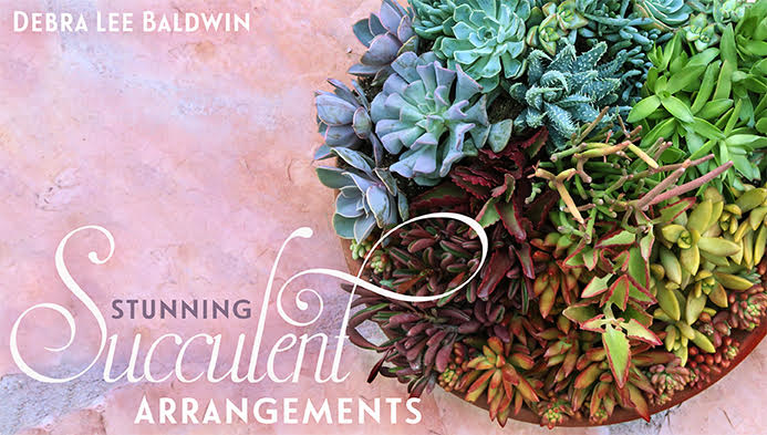 video course on arranging succulents as a terrific succulent gardening gift