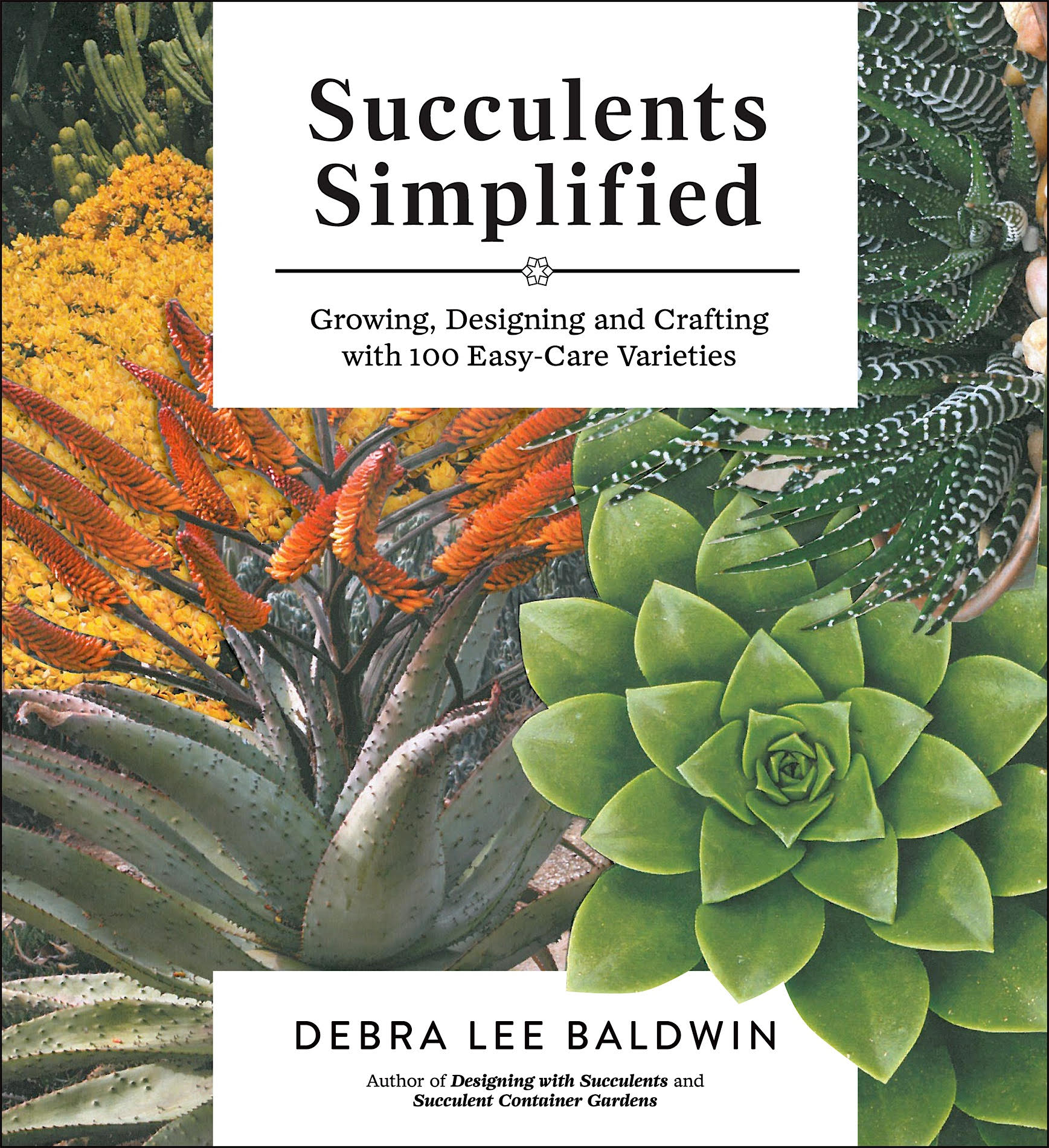 terrific gift for succulent lovers, book Succulents Simplified