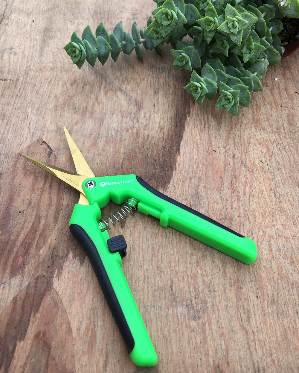 great garden tool as a gift for succulent lovers