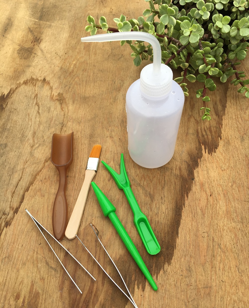 succulent tools are a great succulent gardening gift