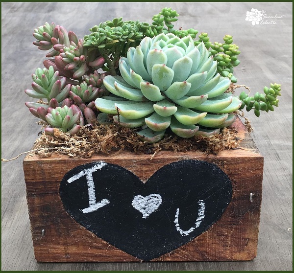 reclaimed wood succulent planter with chalkboard heart