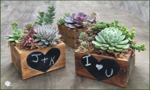 Read more about the article Valentine’s Day DIY – Heart Chalkboard on Reclaimed Wood Planters