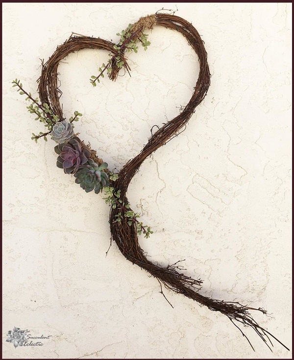living succulent wreath on DIY grapevine heart wreath