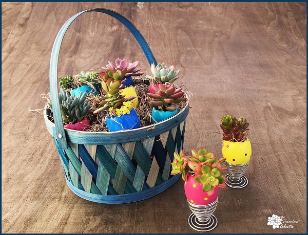 Easter basket with DIY succulent Easter eggs