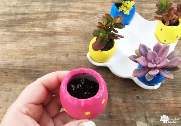 planting your decorated egg planter