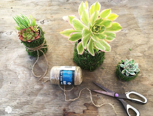tie mossy tin can planters with jute twine