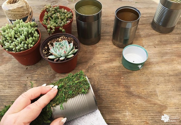 cover tin can planters with sheet moss