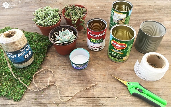 DIY succulent planters gather empty tin cans, moss and supplies