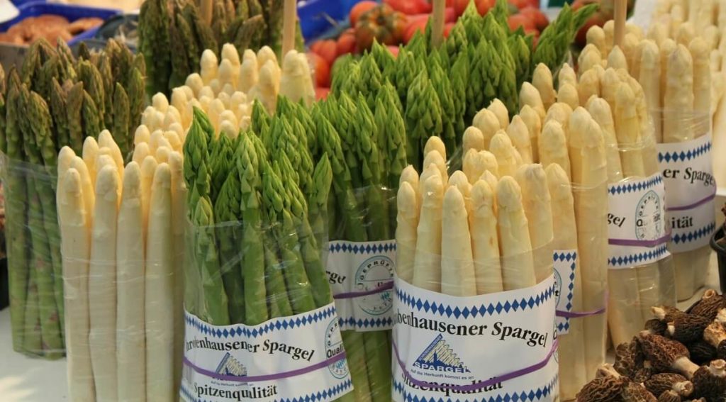 etiolated asparagus
