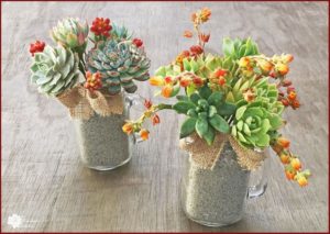 Read more about the article DIY Succulent Bouquet in Mason Jar Mugs!