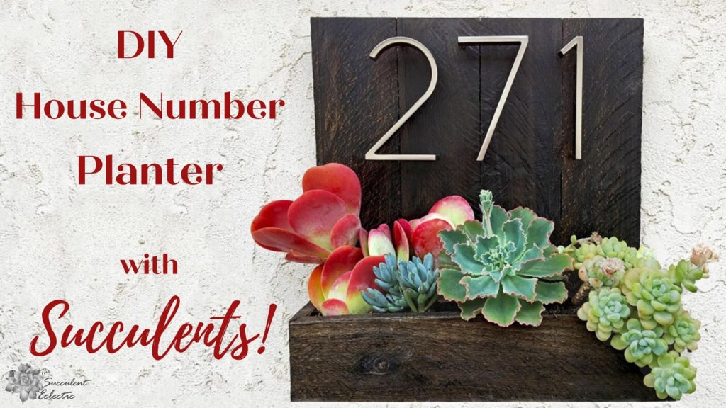DIY house number planter with succulents