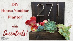 Read more about the article Father’s Day DIY House Number Planter!