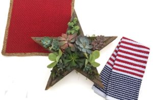 Read more about the article 4th of July DIY Star Shaped Planter w/ Succulents