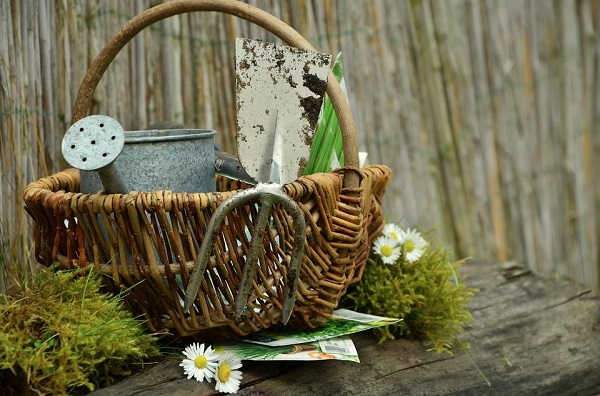 basket of garden tools