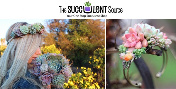 The Succulent Source is an excellent place to buy succulent wedding bouquets and favors