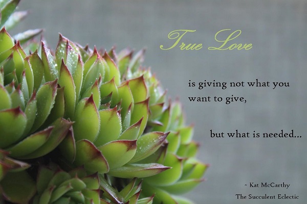 True love is giving not what you want to give but what is needed