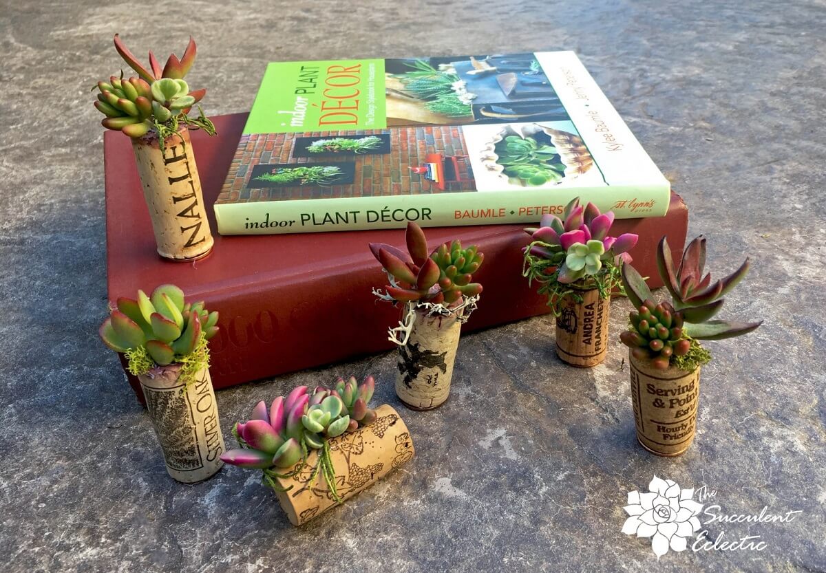 You are currently viewing DIY Wine Cork Succulent Magnet Mini Planters!