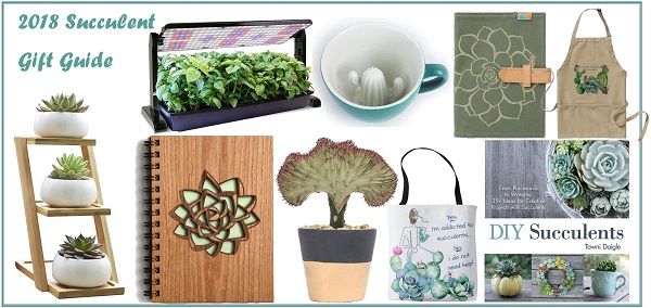 You are currently viewing 21 Succulent Gift Ideas | 2018 Gift Guide