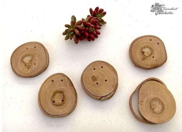DOY rustic Christmas ornaments with succulents