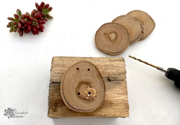 Drilling wood slice ornaments for succulents