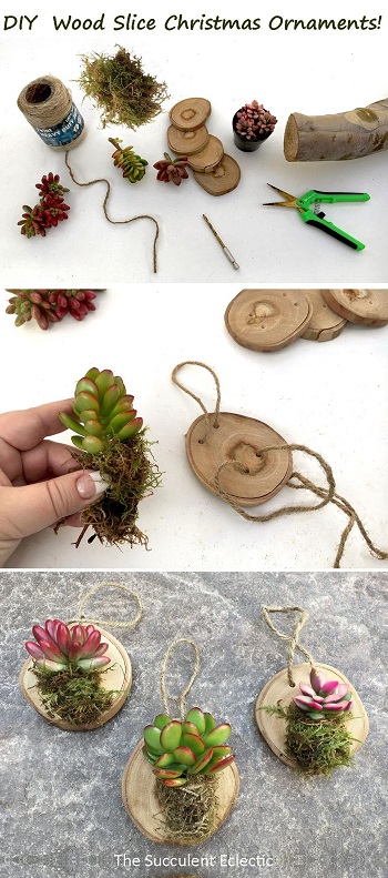 DIY rustic Christmas ornaments with wood rounds and succulents