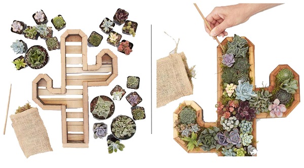 succulent planter kit comes complete with cactus shaped wooden planter and all succulents to fill it