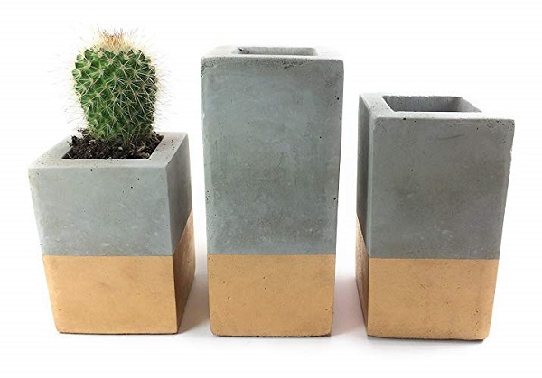 trio of concrete planters makes a great succulent gift