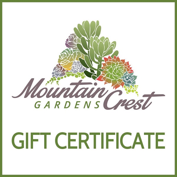 succulent gift certificate from Mountain Crest Gardens