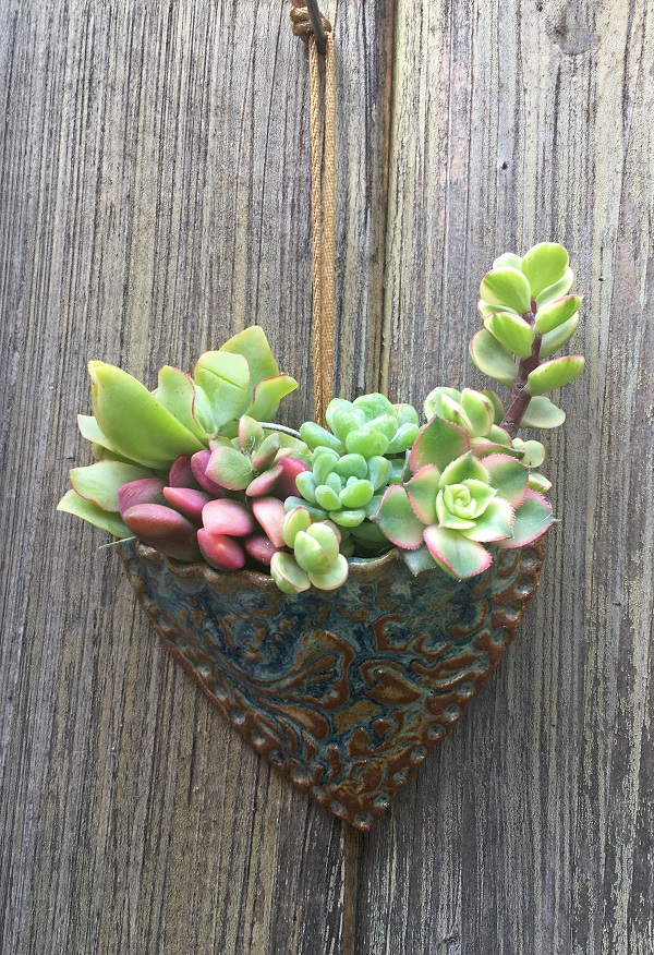 Succulent heart pocket planter planted with Crassula undulata, Anacampseros Sunris, Sedum clavatum, Portulacaria afra variegata and Aeonium Kiwi