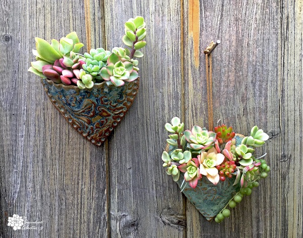 You are currently viewing Planting Succulent Heart Pocket Planter