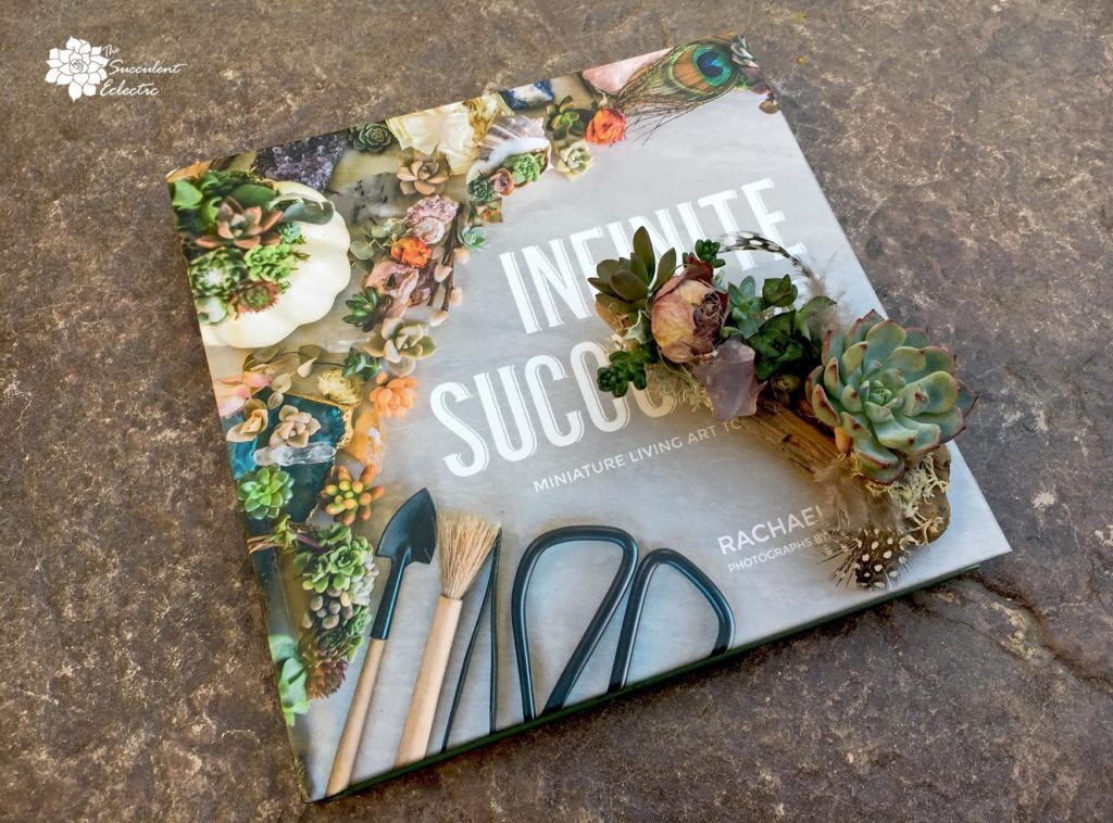 succulent magnet on driftwood, succulent crafts from book infinite succulents shown in image