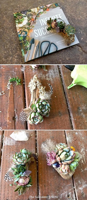 DIY succulent magnets on driftwood twigs