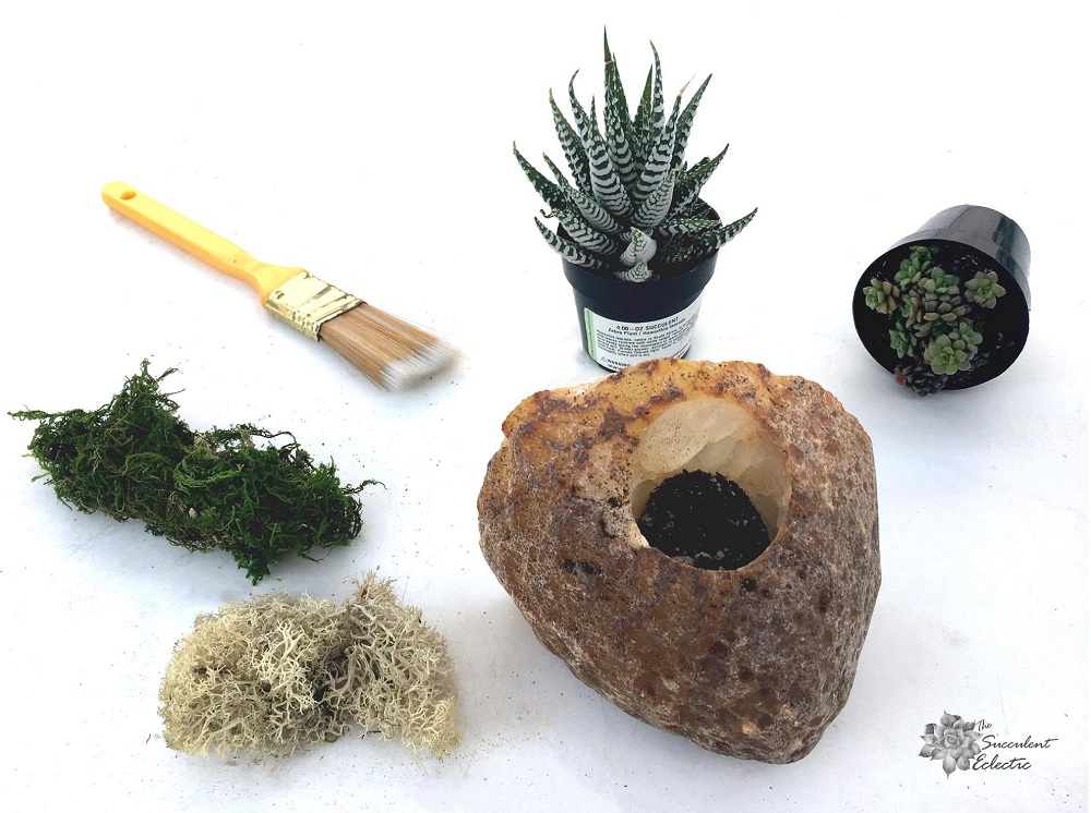 add succulent soil to geode planter