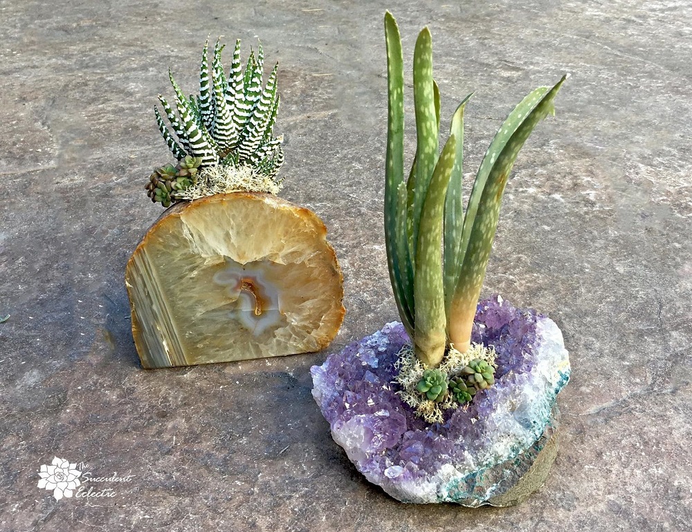 cysral succulent planters agate and amethyst