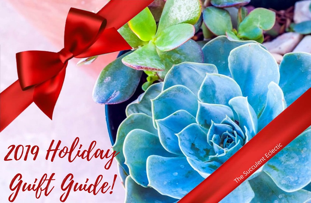 You are currently viewing 2019 Holiday Gift Guide for Succulent Lovers!