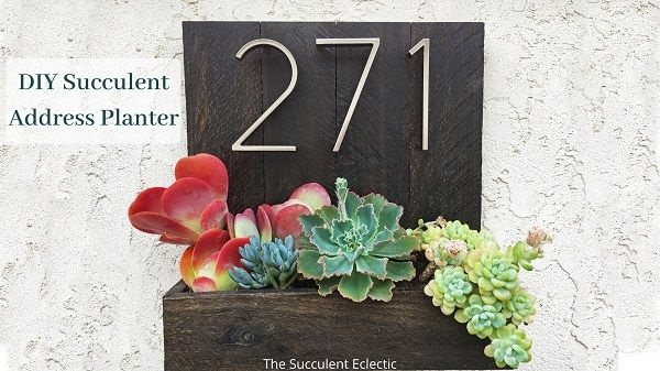 DIY succulent street address planter