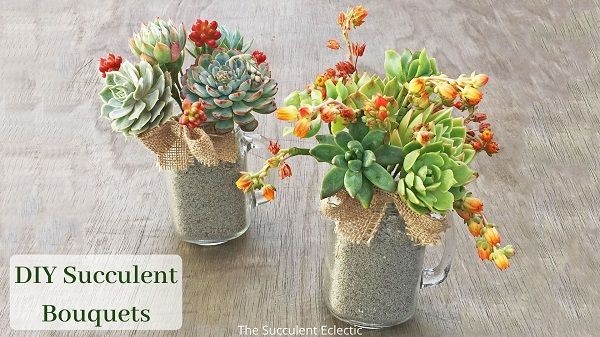 DIY Succulent Bouquets