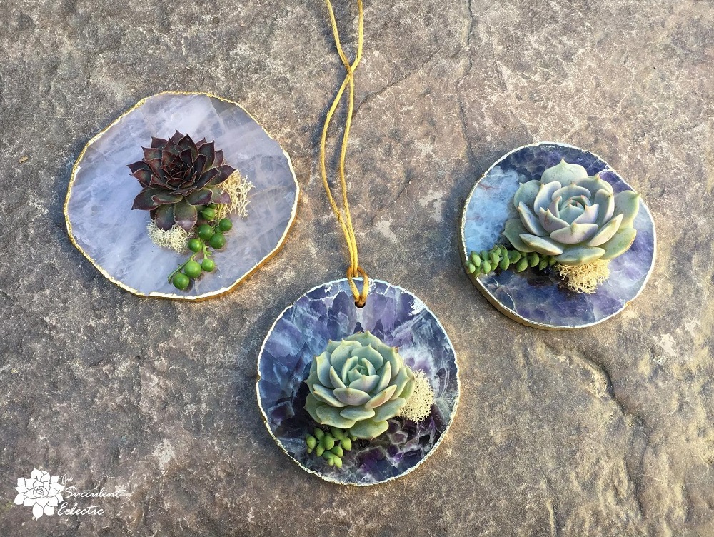 Read more about the article DIY Geode Slice Succulent Favors & Ornaments!