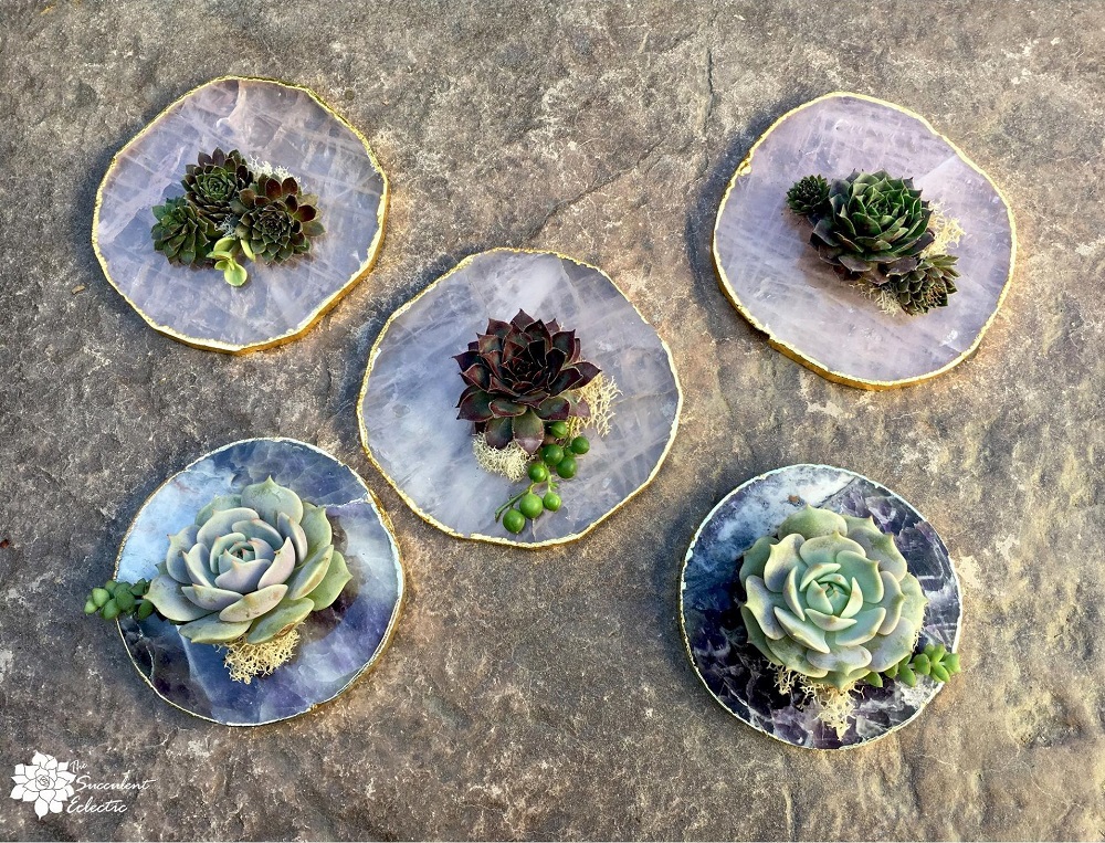 rose quartz and amethyst geode slices used for succulent favor and ornament