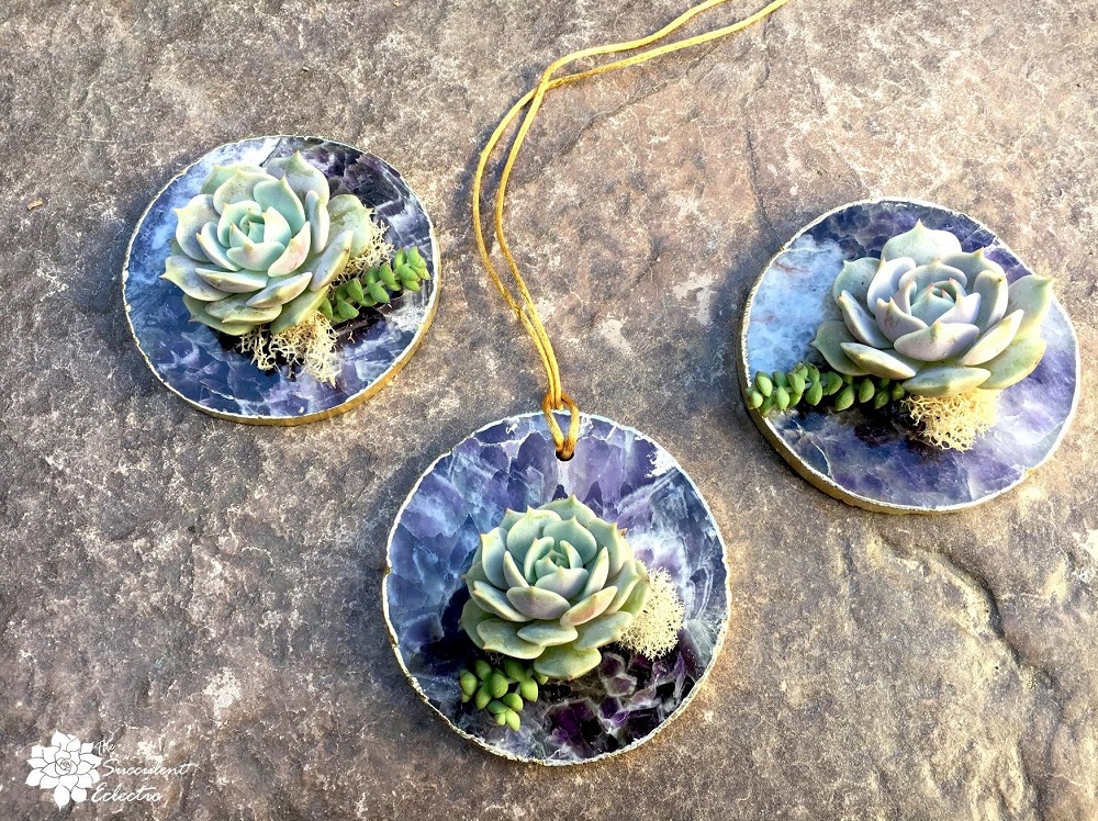 amethyst geode slices used for a hanging succulent ornament and succulent favors