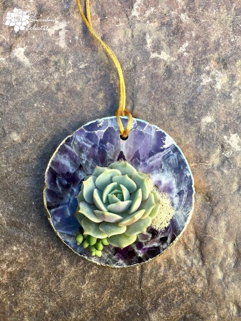 amethyst geode slice as a hanging succulent ornament