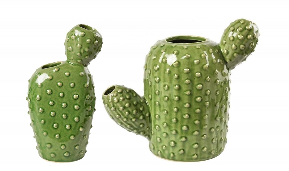 cactus vases