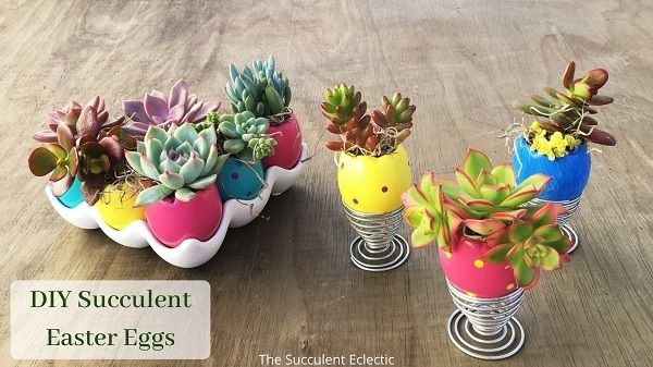 DIY succulent Easter egg planters