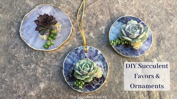 DIY Geode slice succulent favors and ornaments