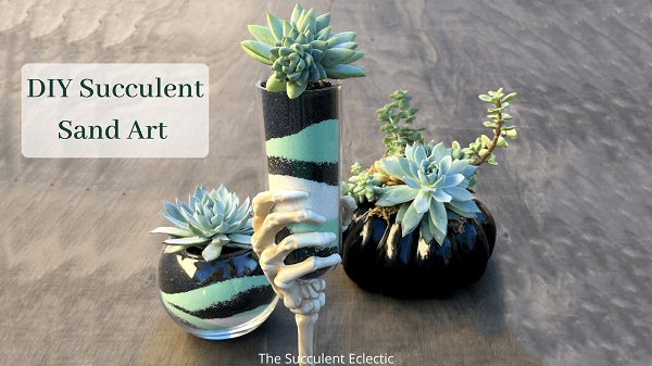 DIY succulent sand art planters