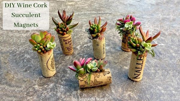 DIY Succulent wine cork planters