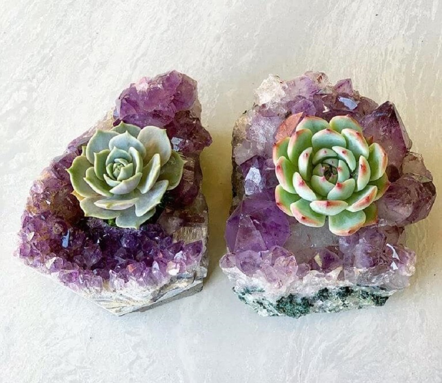 succulent crystals from Infinite Succulent