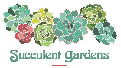 Shop Succulent Gardens