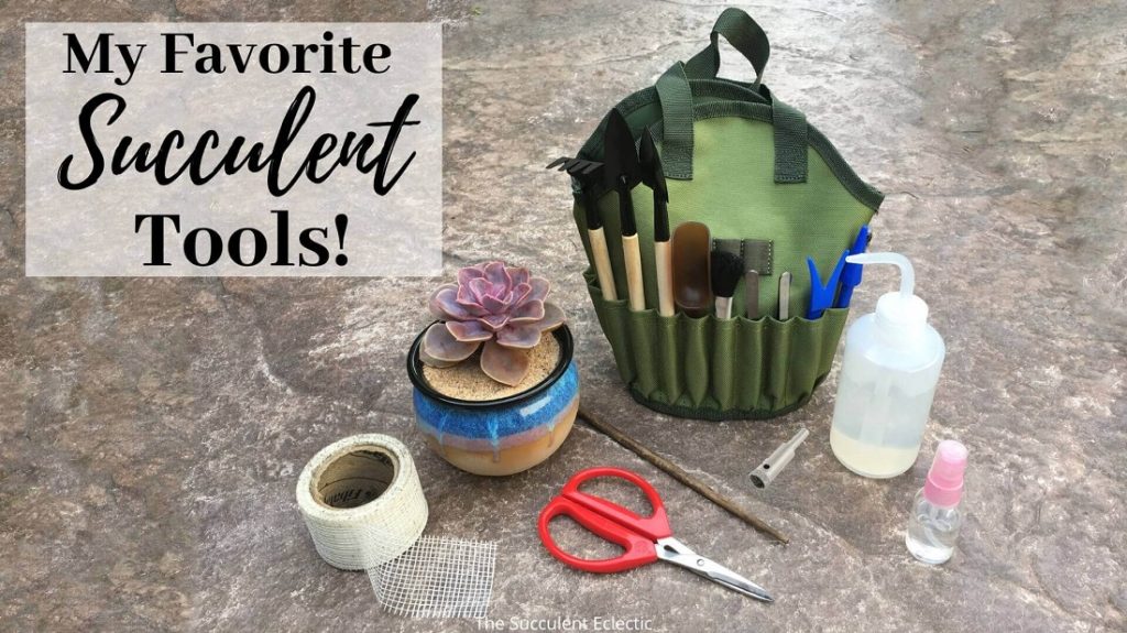 my favorite succulent tools -
